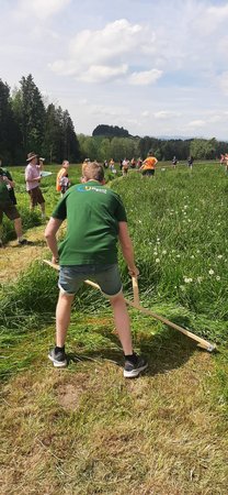 Bezirkssensenmähen 2024